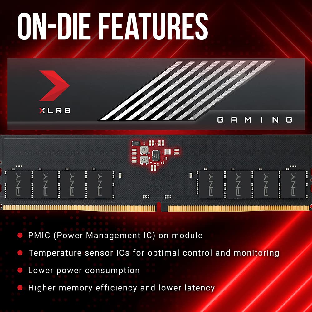 Amazon.in: Buy PNY XLR8 Gaming 32GB (2x16GB) DDR5 6000MHz (PC5